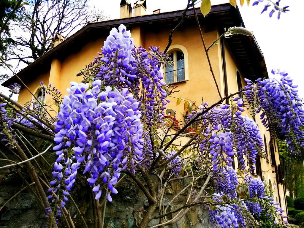 פייטרלונגה La Locanda Del Borgo מראה חיצוני תמונה